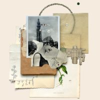 2019 Collage
